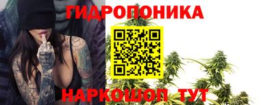 ГАЛЛЮЦИНОГЕННЫЕ ГРИБЫ Апшеронск